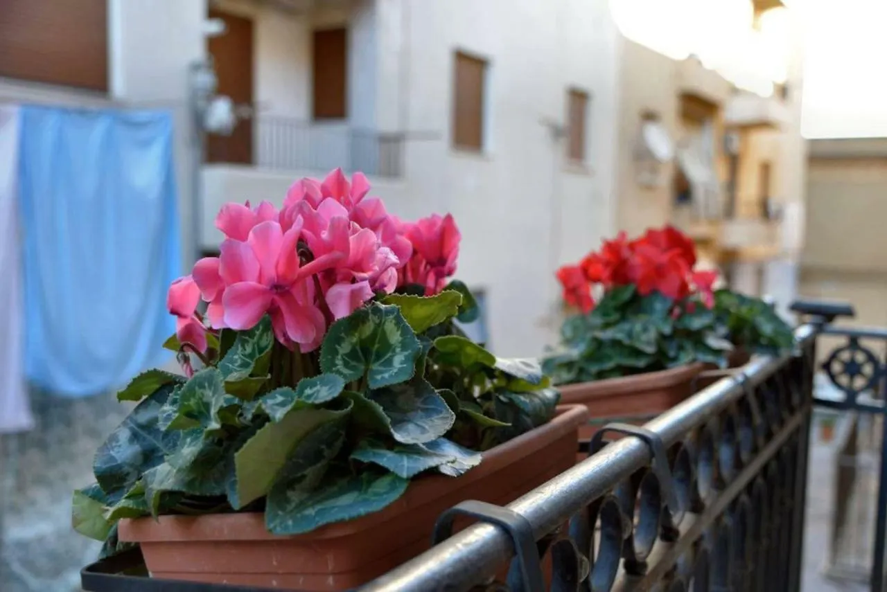 Lodge Real Umberto I° Suite - Kalsa Palermo